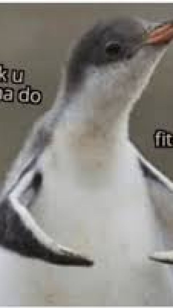 That one friend when it comes to illegal ideas.