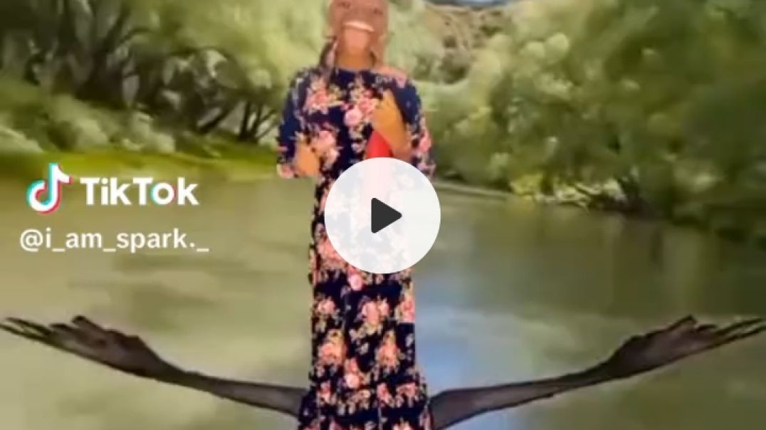Old days video